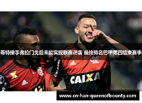 蒂特接手弗拉门戈后未能实现联赛逆袭 最终排名巴甲第四结束赛季