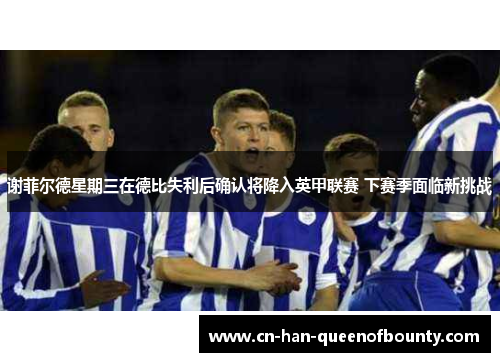 谢菲尔德星期三在德比失利后确认将降入英甲联赛 下赛季面临新挑战