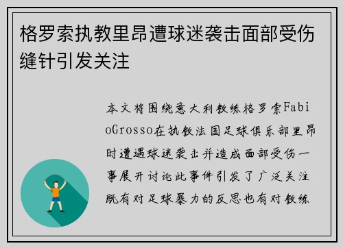 格罗索执教里昂遭球迷袭击面部受伤缝针引发关注