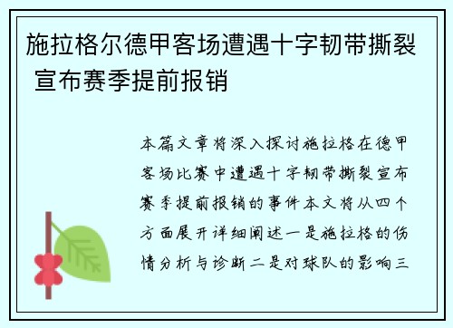 施拉格尔德甲客场遭遇十字韧带撕裂 宣布赛季提前报销